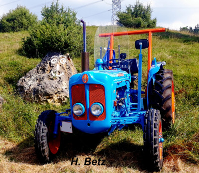 Fordson-Dexta-Petrol-b-Steinhilben.jpg